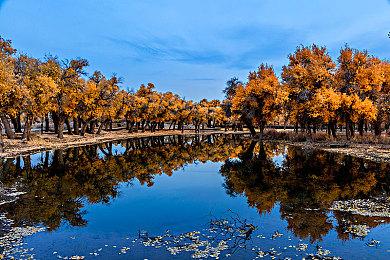 山上建城游戏《峰顶王国》新预告 将于2022年发售